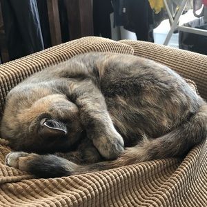 Meet your Posher, Thomas-jahson